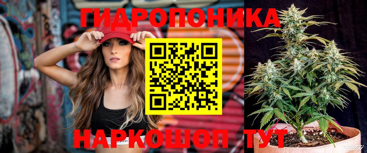 Грязи  МАРИХУАНА гибрид  Вход с VPN  МАРИХУАНА Amnesia  Шишки марихуана план 